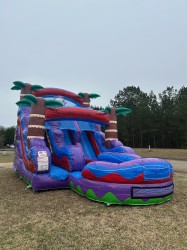 IMG 3312 1740094665 15ft tropical hurricane dual lane water slide