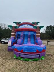 IMG 3314 1740094666 15ft tropical hurricane dual lane water slide