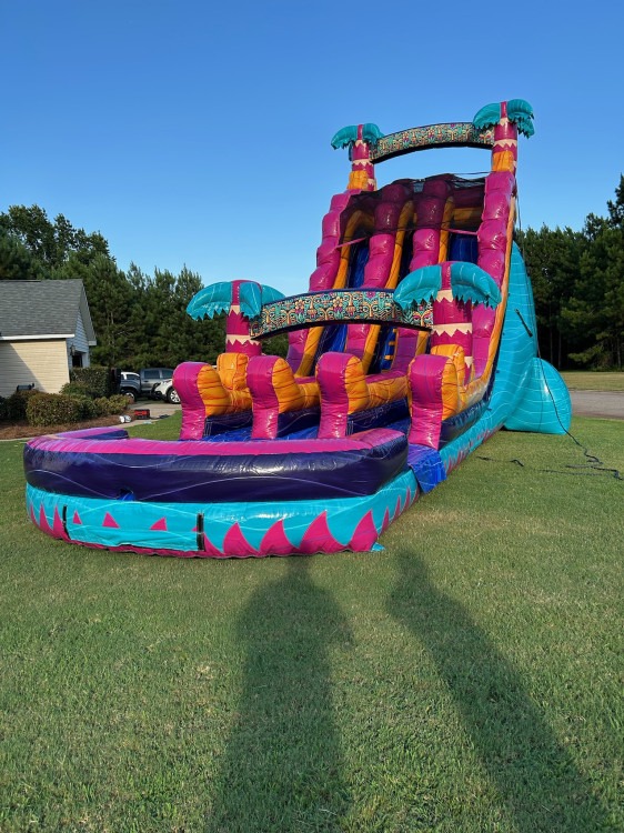 22ft Rippling Rush Dual Lane Slide