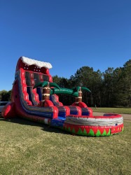 22ft Red Surge Dual Lane Slide